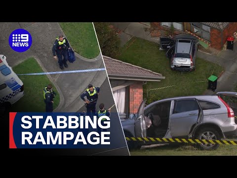 Man on the run after stabbing spree on family members | 9 News Australia thumbnail