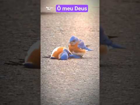 INSCREVA-SE NO CANAL ?  #proteçãodivina #salvamento #natureza thumbnail