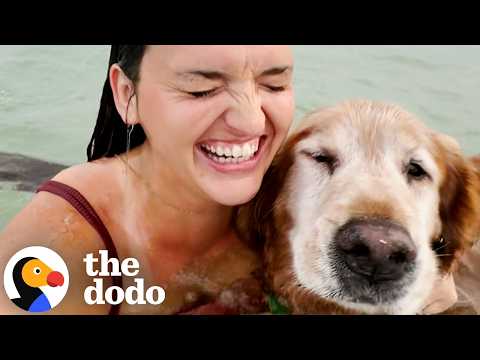 Woman Had Her Soul Dog Since 15 And Includes Him In Everything | The Dodo thumbnail