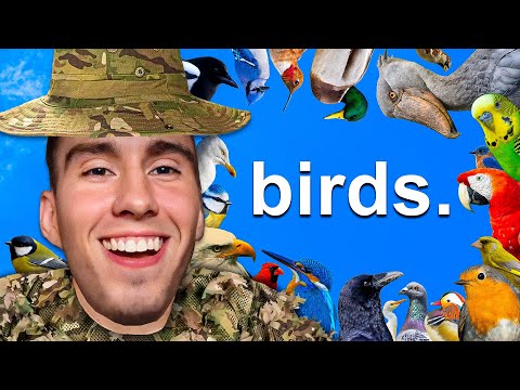 Birds in a Nutshell thumbnail
