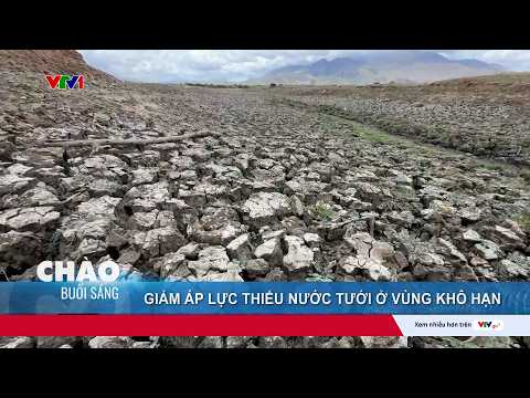 Tìm lời giải cho bài toán giảm áp lực thiếu nước tưới ở vùng khô hạn | VTV24 thumbnail