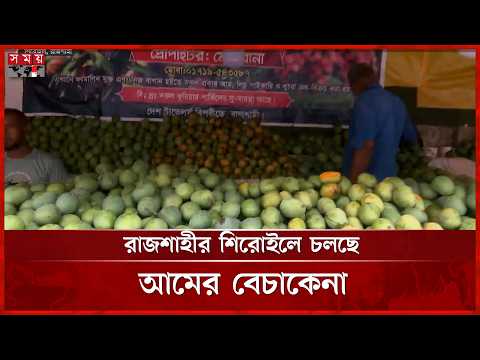 রাজশাহীর শিরোইলে চলছে আমের বেচাকেনার ধুম | Rajshahi | Mango | Somoy TV thumbnail