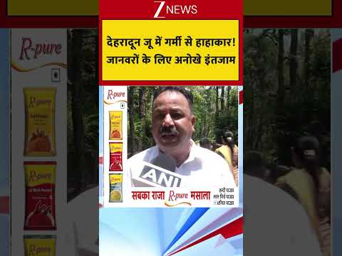 देहरादून जू में गर्मी से हाहाकार! जानवरों के लिए अनोखे इंतजाम thumbnail