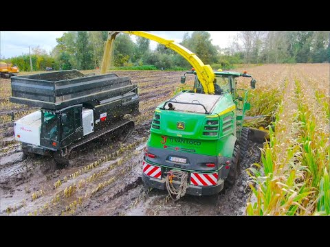 Maize harvest in the Mud | Modderen in mais | JD 8600i on Tracks & Prinoth Panther rotating dumpers thumbnail