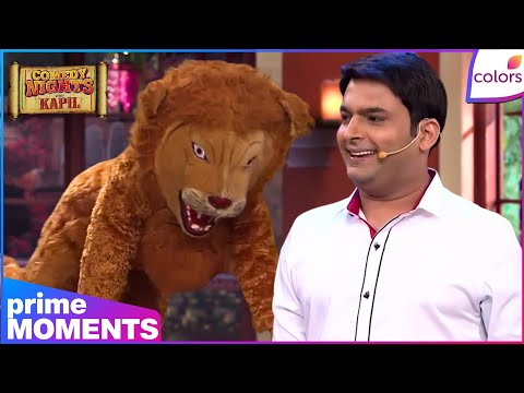 Comedy Nights With Kapil | Highlights | Ep. 502 | Hilarious Mess! Kapil’s Fake Lion Scares Everyone thumbnail