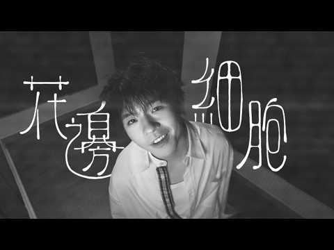 Ian Chan 陳卓賢《 花邊細胞 》（ Gossip ）Official Music Video thumbnail