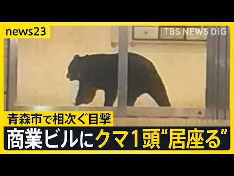 青森市でクマ1頭がホテルなどが入る商業ビルで“居座り” 中心街に響いた2発の銃声…出没から約3時間後に緊急銃猟で駆除【news23】｜TBS NEWS DIG thumbnail