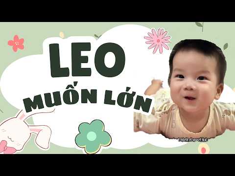 TỔNG HỢP - LEO MUỐN LỚN | LongLinhfamily #longlinhfamily thumbnail