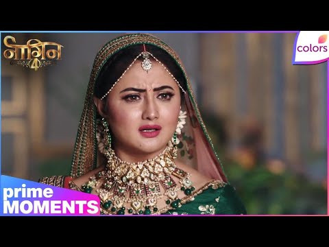 Naagin S4 | Highlights Ep. 30 | Shalakha Tries to Win Dev Away From Brinda | Colors TV thumbnail
