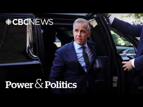 Pulse Panel: Will Carney’s MAGA pitch help ease trade tensions? | Power & Politics thumbnail
