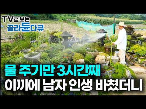 매일 물만 줬을 뿐인데 삶이 달라졌다. 하루 몇 시간씩 이끼에 물 줬더니｜스마트폰 대신 정원. 아파트 아이와 마당 있는 아이의 충격적인 차이｜자연인 부부｜하나뿐인 지구｜#골라듄다큐 thumbnail