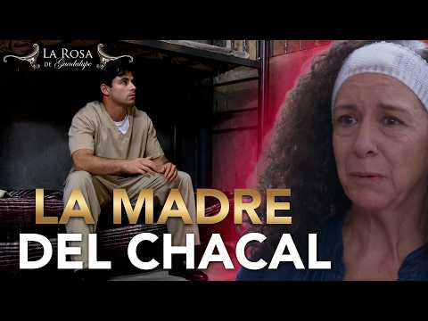 Oliver echó a PERDER SU VIDA y también la de su MADRE INOCENTE | LA MADRE DEL CHACAL 4/4 thumbnail