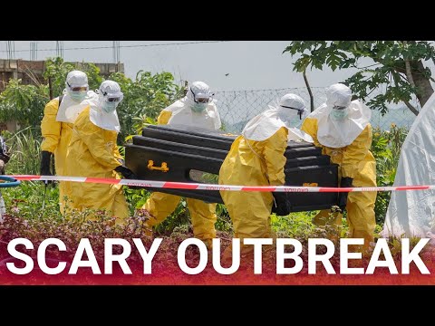 Ebola cases surge toward 1,000 as world scrambles to contain outbreak thumbnail