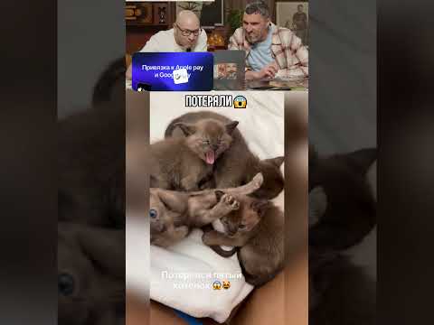 Потеряли😱 thumbnail