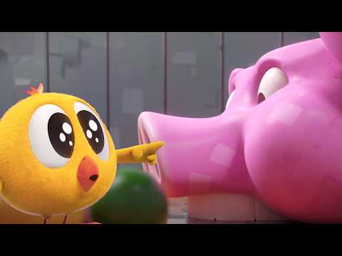 Where's Chicky? | Chicky VS Piggy | A Xilam Series | Xilam TV thumbnail