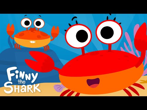 The Crabs Go Crawling | Count To Ten | Finny The Shark thumbnail