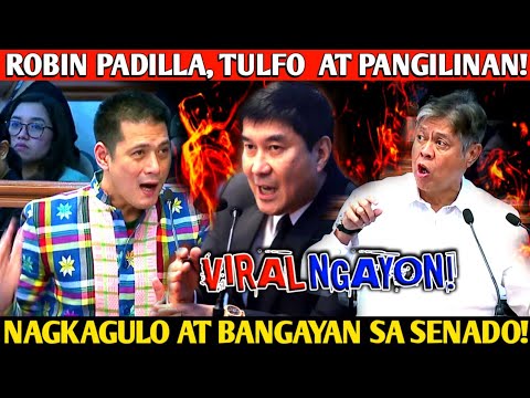 Naku po! Robin Padilla at Raffy Tulfo mga senador nagkagulo bangayan sa senado! thumbnail