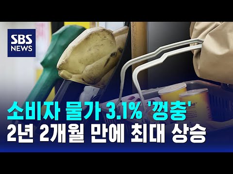 소비자 물가 3.1% '껑충'..2년 2개월 만에 최대 상승 / SBS thumbnail