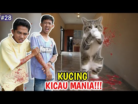 ARIK VS SAPUTTA JAMAN NOW PART 28! VIRAL KICAU MANIA | Mikael Family thumbnail