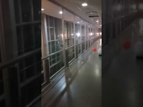 Muchos creen haber visto este video…pero no todos saben lo que realmente pasó… thumbnail