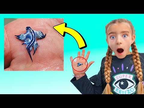 GISELE TIENE DRAGONES ACUATICOS Las Ratitas thumbnail