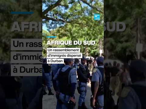 Afrique du Sud, un rassemblement d’immigrés dispersé à Durban • FRANCE 24 thumbnail