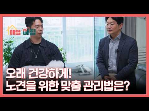 오래 건강하게! 노견을 위한 맞춤 관리법은? MBN 260514 방송 thumbnail