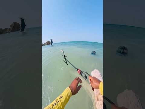 How to start your kite the right way! 😳🤯 @friendlykite thumbnail