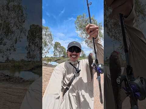 ตกปลาสองวัน‼️ประธานจะได้ปลากี่ตัว🎣🤣 thumbnail