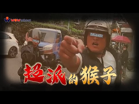 牠越大聲，妳越丟臉｜台灣行車影像合集｜2025 - 5月 - 3,4週 ｜(資訊欄有每一部的連結） thumbnail