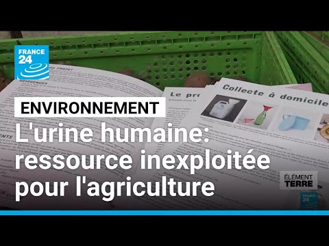 L'urine humaine, ressource inexploitée pour l'agriculture • FRANCE 24 thumbnail