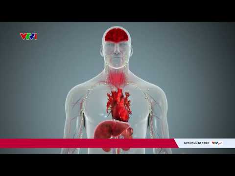 Ebola có tỷ lệ tử vong tới 90%, Bộ Y tế cập nhật phác đồ điều trị | VTV24 thumbnail