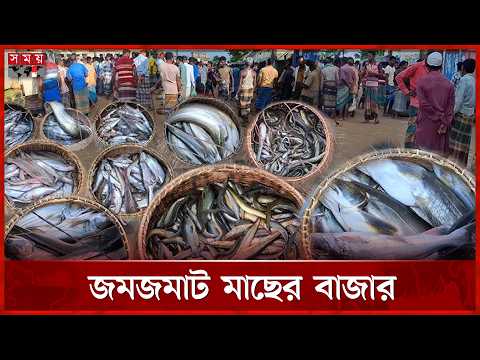 হবিগঞ্জে ভোর থেকেই চলছে হাওরের তাজা মাছের জমজমাট বেচাকেনা | Habiganj | Fish Market | Somoy TV thumbnail