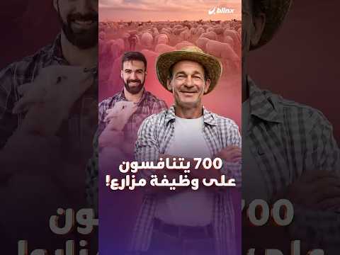 إعلان لوظيفة راعي غنم يحصد 59 مليون مشاهدة و700 طلب بينهم جامعيون.. ما السر؟ thumbnail