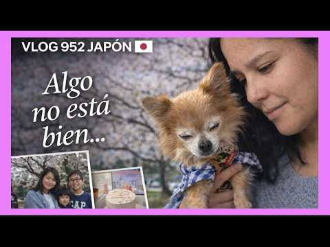 ?? Su Salud no est Bien ?+ Nos preocupa ?+ Nuestra Tradición ?+ Descuento de Aniversario ❤️ thumbnail