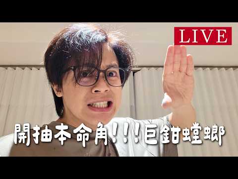 【心血來潮的直播】開抽本命角！我的巨鉗螳螂 thumbnail