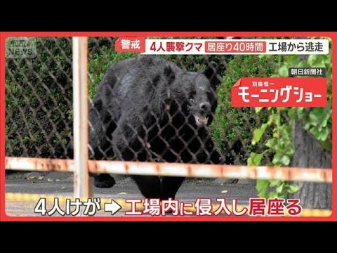 4人襲撃クマ　40時間居座った工場から逃走　市内にいる可能性…福島市は警戒呼びかけ【羽鳥慎一モーニングショー】(2026年6月4日) thumbnail
