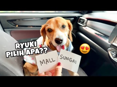 SEHARIAN DIATUR ANABUL‼️😍 Aku ikutin semua pilihan Ryuki🐶 thumbnail