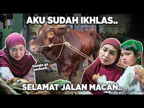 AKU UDAH IKHLAS.. SELAMAT JALAN MACAN.. thumbnail