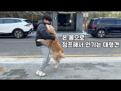 1시간이 7시간 같은 강아지 키우는 견주들이 웃으면서 눈물나는 이유 thumbnail