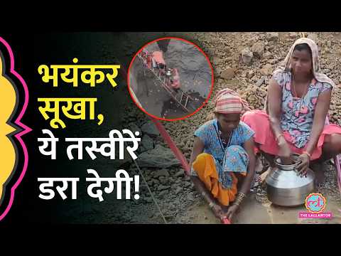 Valsad में पानी के लिए तरस रहे लोग, Sanjay Van Lake की तस्वीर परेशान कर देगी | Drought thumbnail