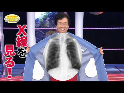 X線を見る！/  Let's See X-rays! / *Audio in EN / DE / FR / PT / ES thumbnail