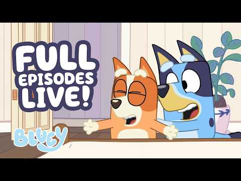 🔴LIVE: Stormy Weather Fun! ☔️ 💙 | Hotel + 17 BLUEY FULL EPISODES ⭐️ | Bluey thumbnail
