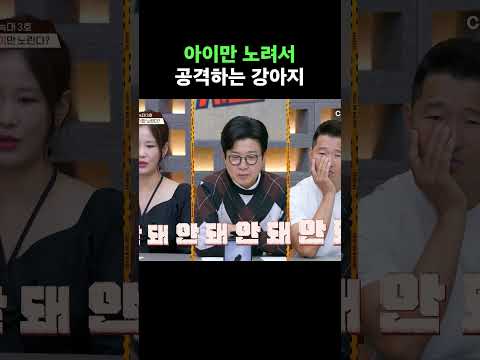 아이만 노려서 공격하는 강아지 #개와늑대의시간2 thumbnail