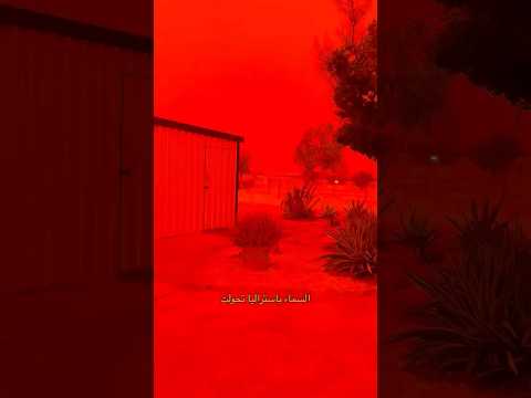 اللي صار خلال آخر يومين شيء بيفوق الخيال 😳😱 thumbnail