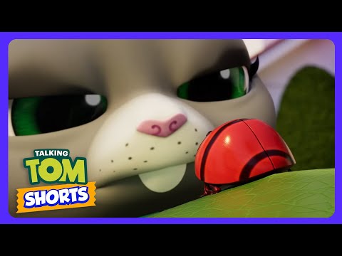 Talking Tom - ¡Ataque de bichos en el jardín! | Dibujos Infantiles | WildBrain Niños thumbnail
