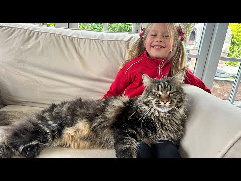 Adorable Kids Pamper Their Giant Cats!! (So Cute!!) thumbnail