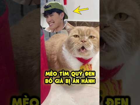 Ông chồng bị ăn hành vì lén hút thuốc ⏰🚬 thumbnail