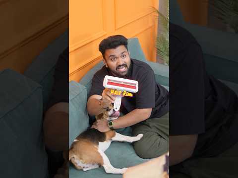 Dog ke atee hi kand hogaya! thumbnail