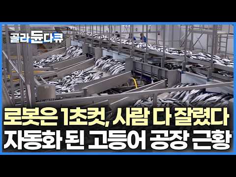 사람이 없어진 대규모 고등어 공장, 로봇이 1초 만에 가시도 다 발라버리니 포장까지 30분 밖에 안 걸린다| 극한직업 | #골라듄다큐 thumbnail